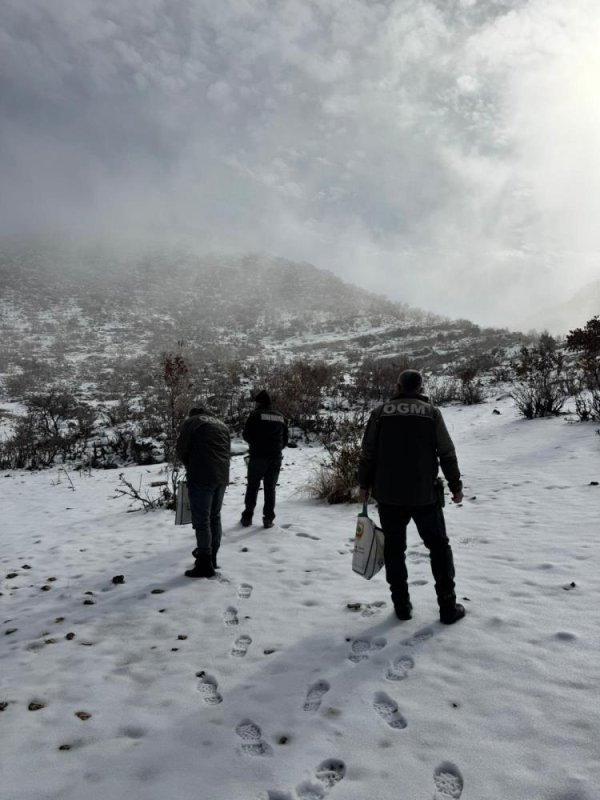 Dondurucu Soğuklarda Yaban Hayata Destek
