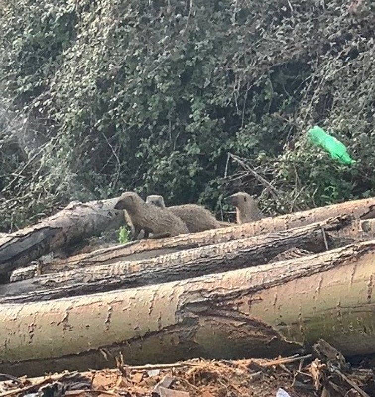 Sansar Ailesi Mersin’de