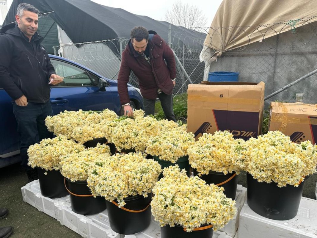 Kırmızı Gülü Yağış Vurdu!