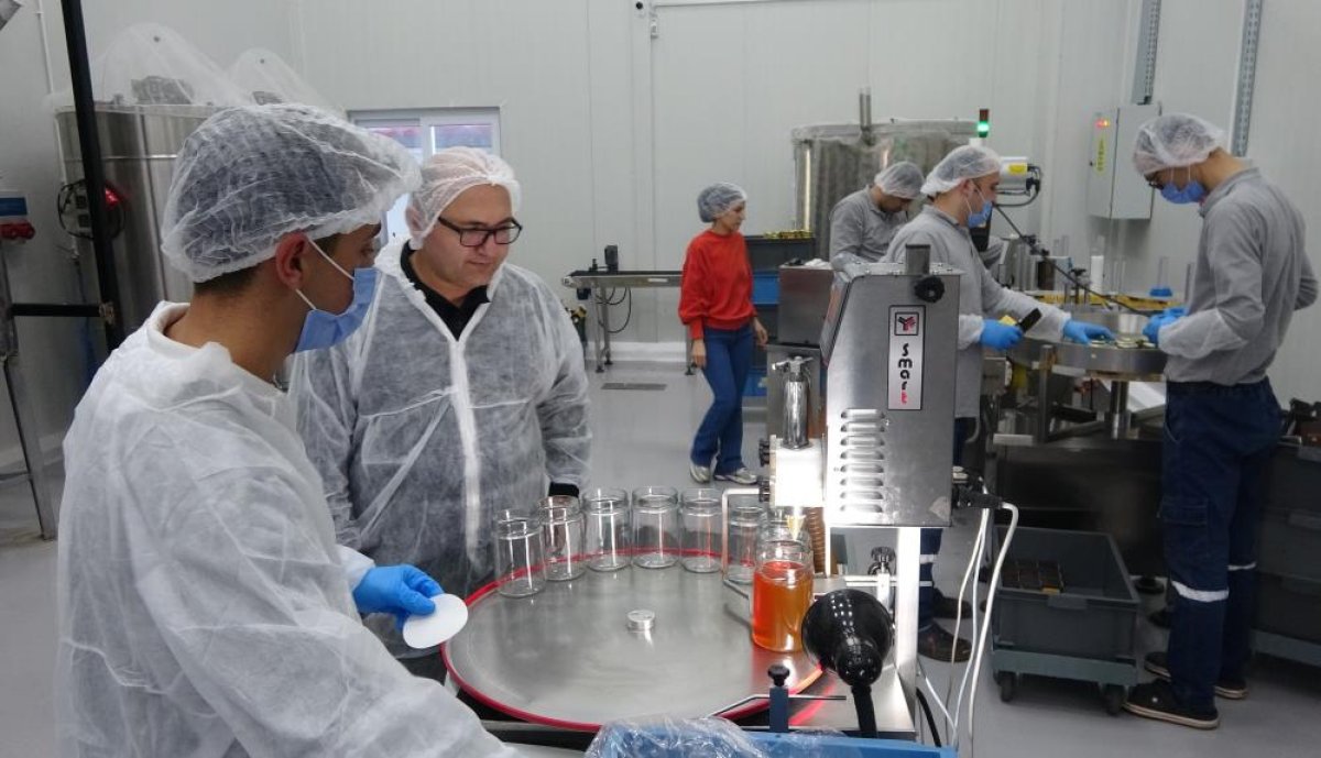 Mersin’de Devlet Destekli Arıcılık Yatırımı