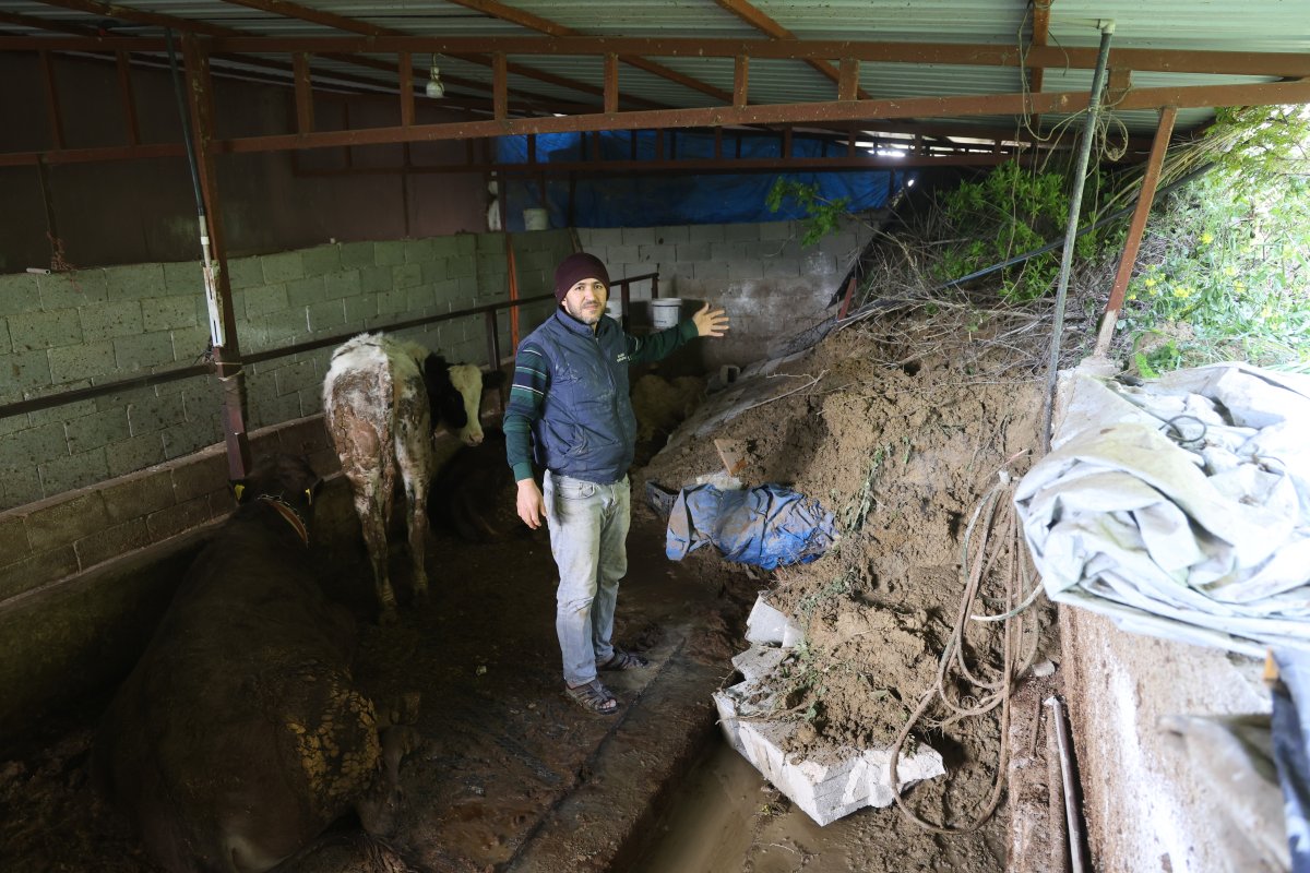 Hatay'da Heyelanda Önü Toprakla Dolan Ahırda Hayvanlar Mahsur Kaldı