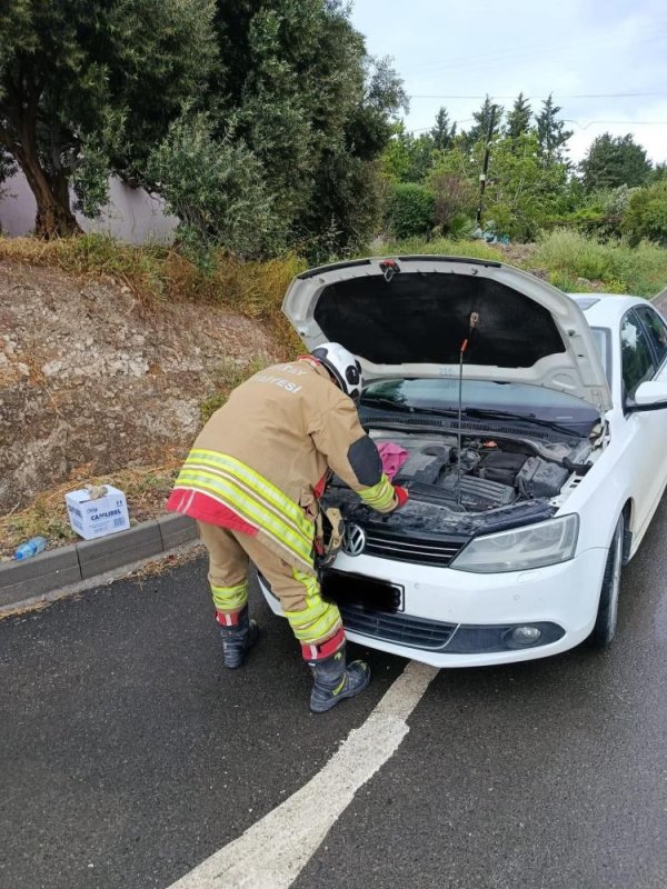 Arsuz'da Otomobilin Motoruna Giren Kediler Kurtarıl