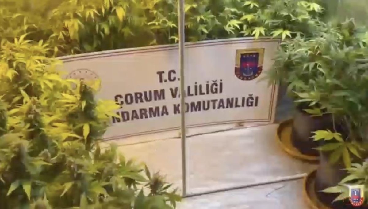 Çorum’da Zehir Tacirlerine Jandarmadan Geçit Yok
