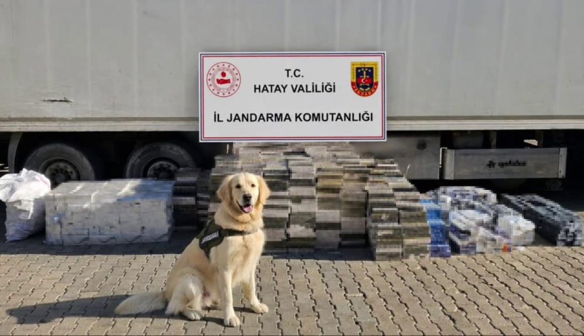 Eşya taşınan tır dorsesinden 3 bin karton kaçak sigara çıktı