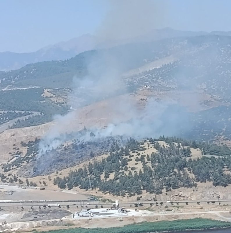 Kahramanmaraş'ta orman yangını