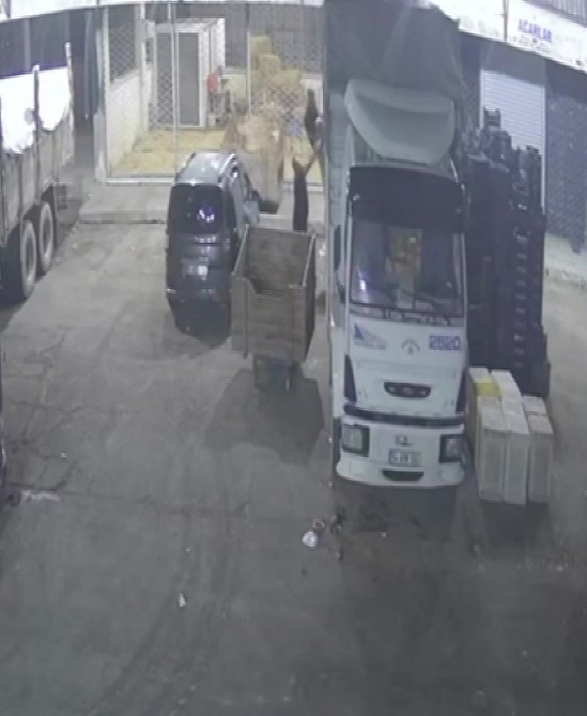 600 kiloluk karpuz ve kavun çalan şüpheli: "Çabuk satılan ürünler, satmak için çaldık"