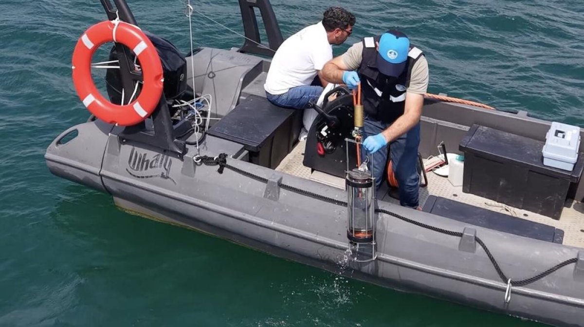 Pamuksu oluşumun sırrı çözüldü: Sapanca Gölü'ndeki beyaz tabaka alg çıktı