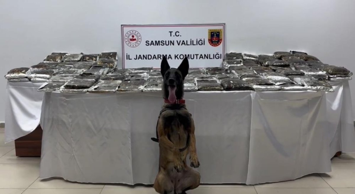Samsun’da tıra gizlenmiş 132 kilo toz esrar ele geçirildi