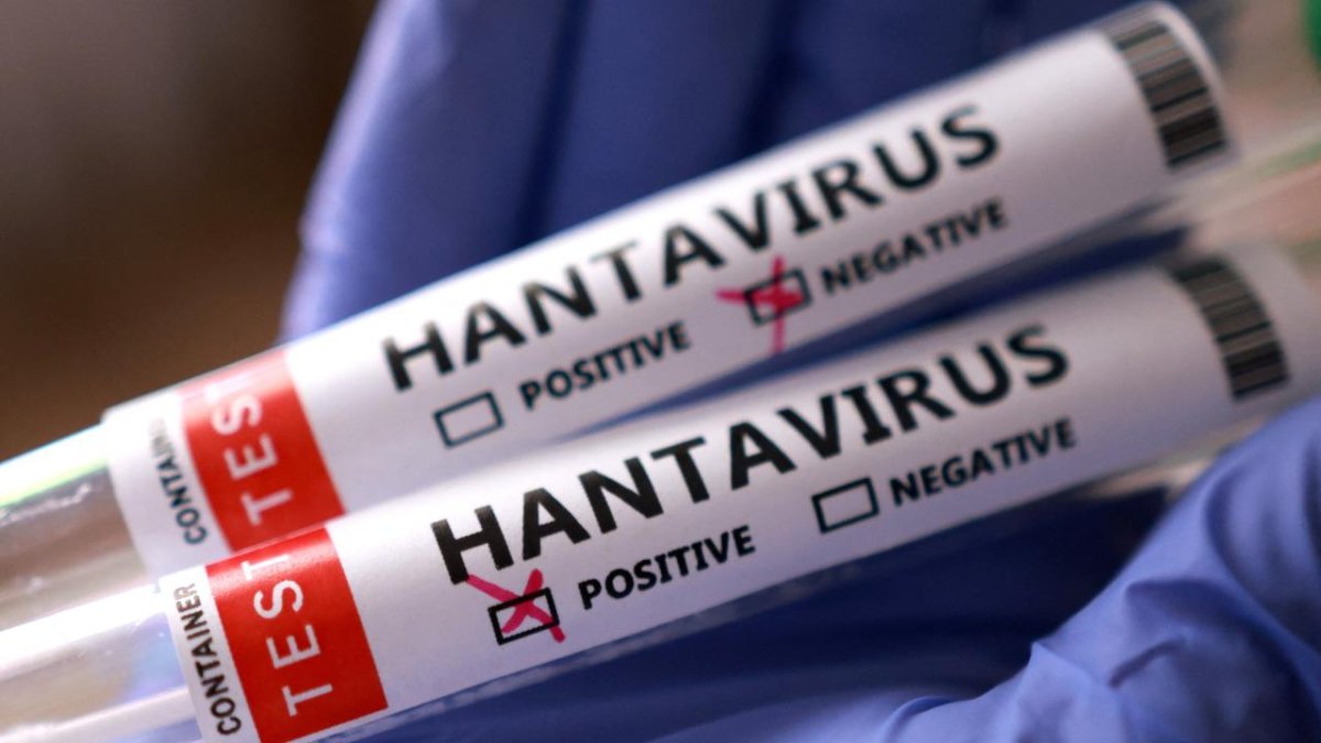 AB, Hantavirüse Karşı Aşı Ve Tedavi Yöntemleri Geliştiriyor