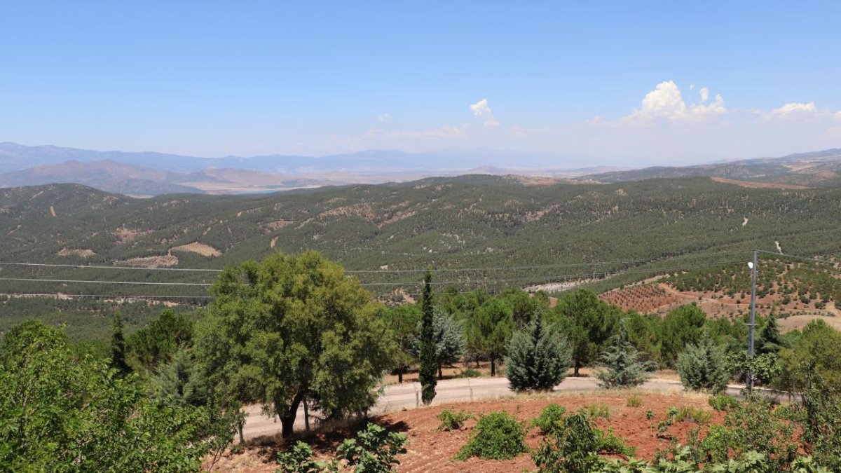 Kilis'te ormanlık alanlara giriş yasaklandı